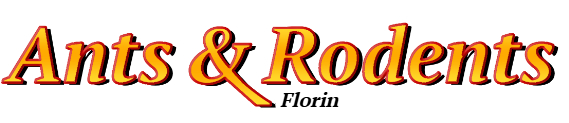 Florin Ant Exterminator & Rodent Control Company Logo